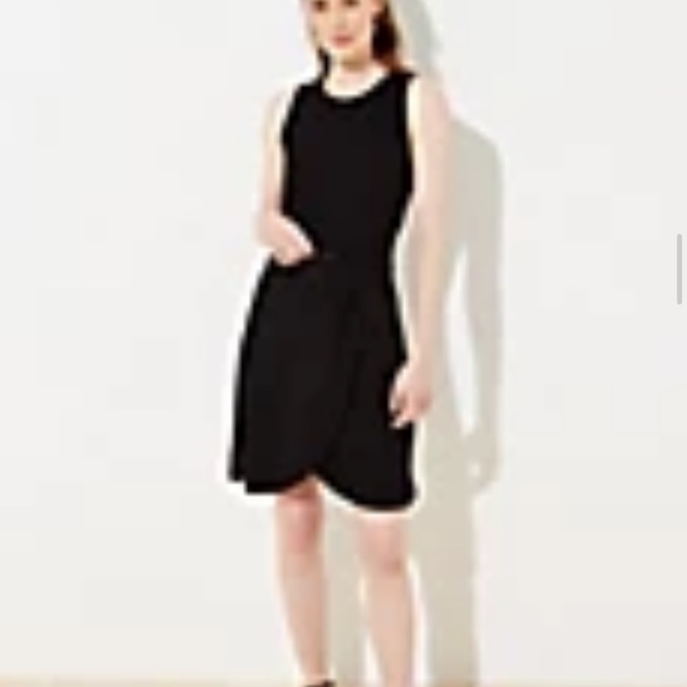 Dress NWOT